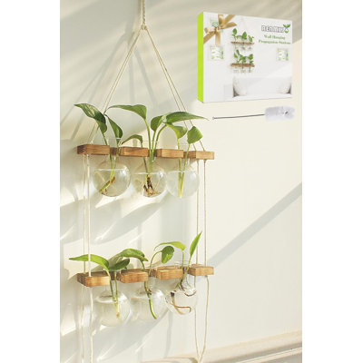Hanging Planter