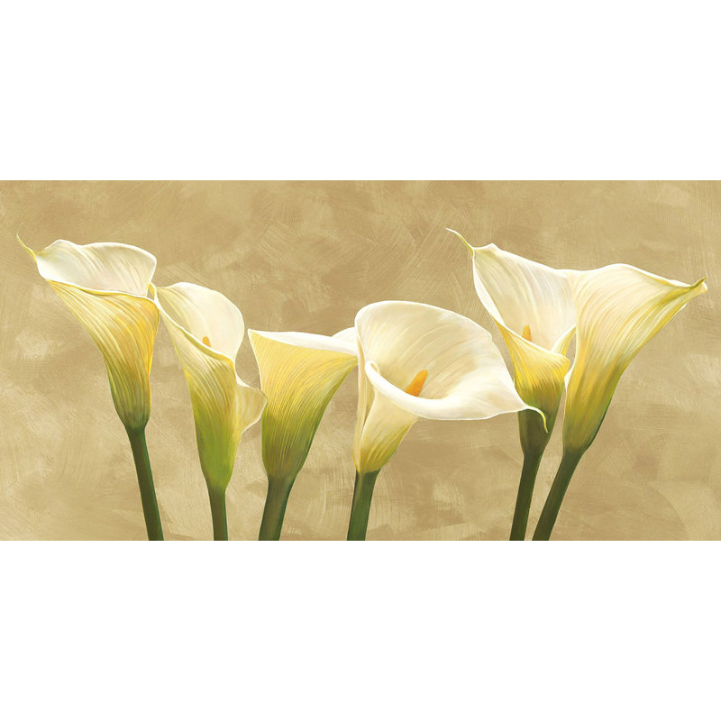 White Callas by Serena Biffi - Wrapped Canvas Painting, 50cm H x 100cm W x 4cm D