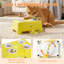 Cat Toys