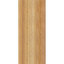 Sapin Douglas-109329353-113998552
