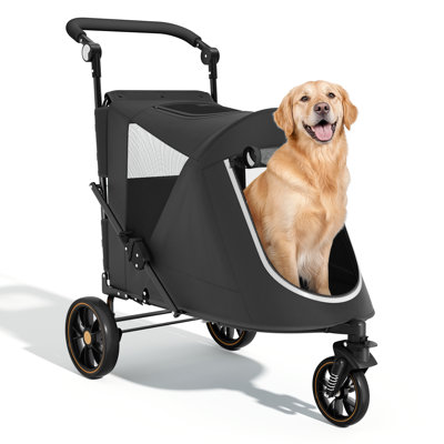Chariot de transport pliable 3 roues