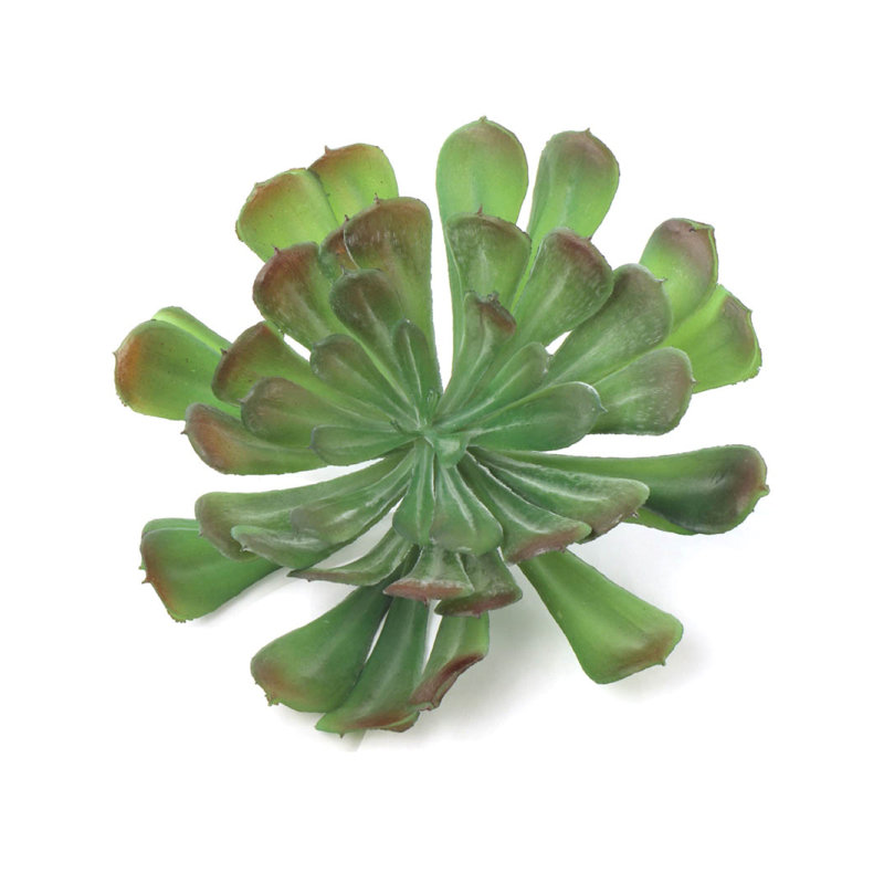 Moseley 8'' Tall Artificial Succulent