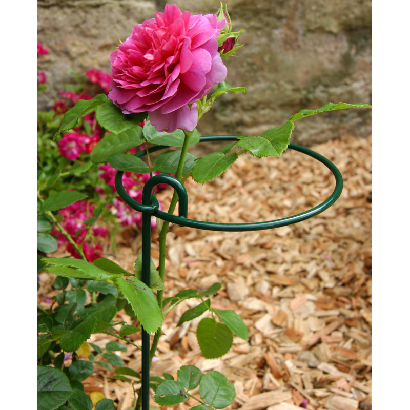 Atreau Metal Plant Support, 86.4cm H x 15.2cm W x 152cm D