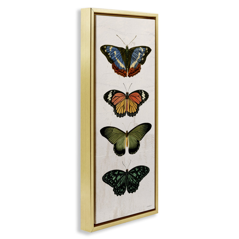 Cadre flottant rétro Butterfly, par Dan Meneely, Cadre flottant métallique doré, H 31 po x l 15 po