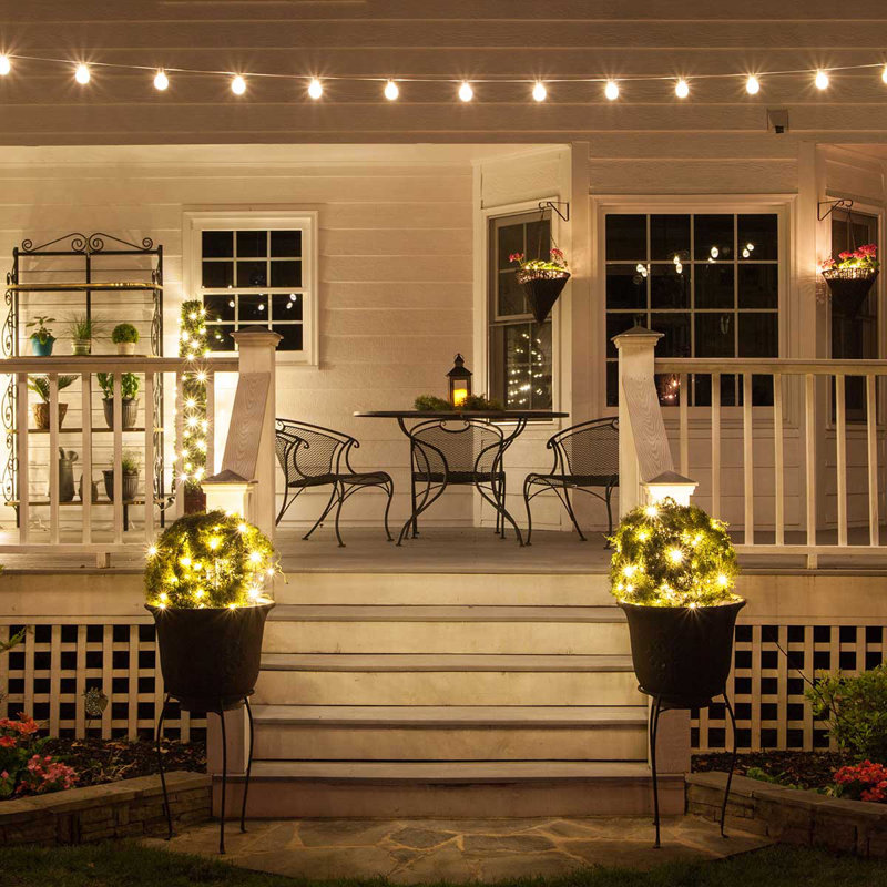 Globe Light Bulbs