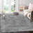 Indoor Rug-841301744