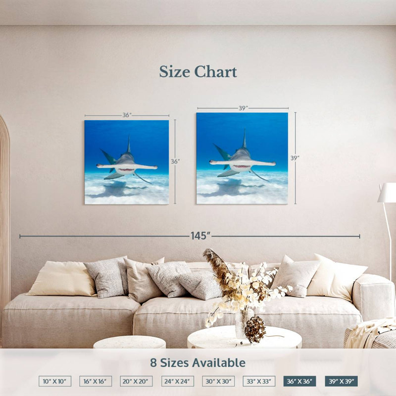 Albern Hammerhead Shark Swimming, 36" H x 36" W