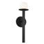 Single Light Steel Dimmable Wallchiere-44138665