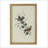 S/4 Bird Framed Print