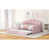 Rose est en rupture de stock