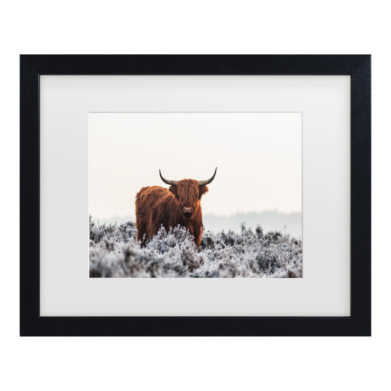 Jaap Van Den «Highlander», art encadré mat, H 18 po x l 22 po x P 0,75 po, Noir