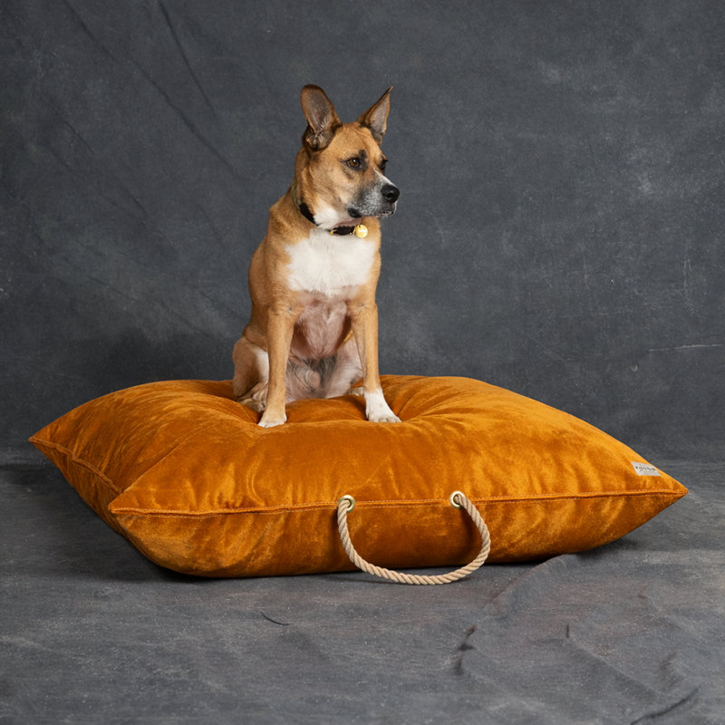  Lit pour chien, velours ocre - moyen, L 30 po x l 30 po, Ocre