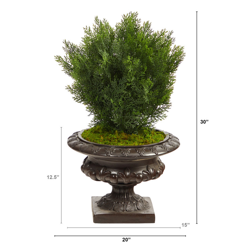 30'' Faux Cedar Tree in Stone Urn