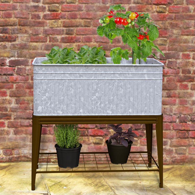 Albano Metal Elevated Planter