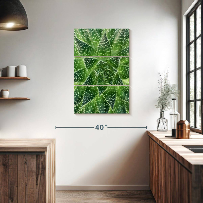 Plante grasse Harnek, H 38 po x l 24 po
