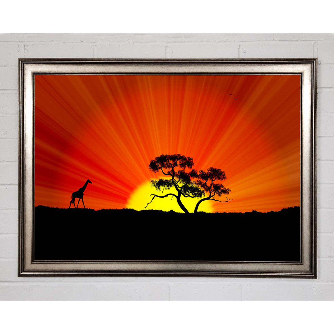 African Sunblaze Gerahmter Druck Wandkunst