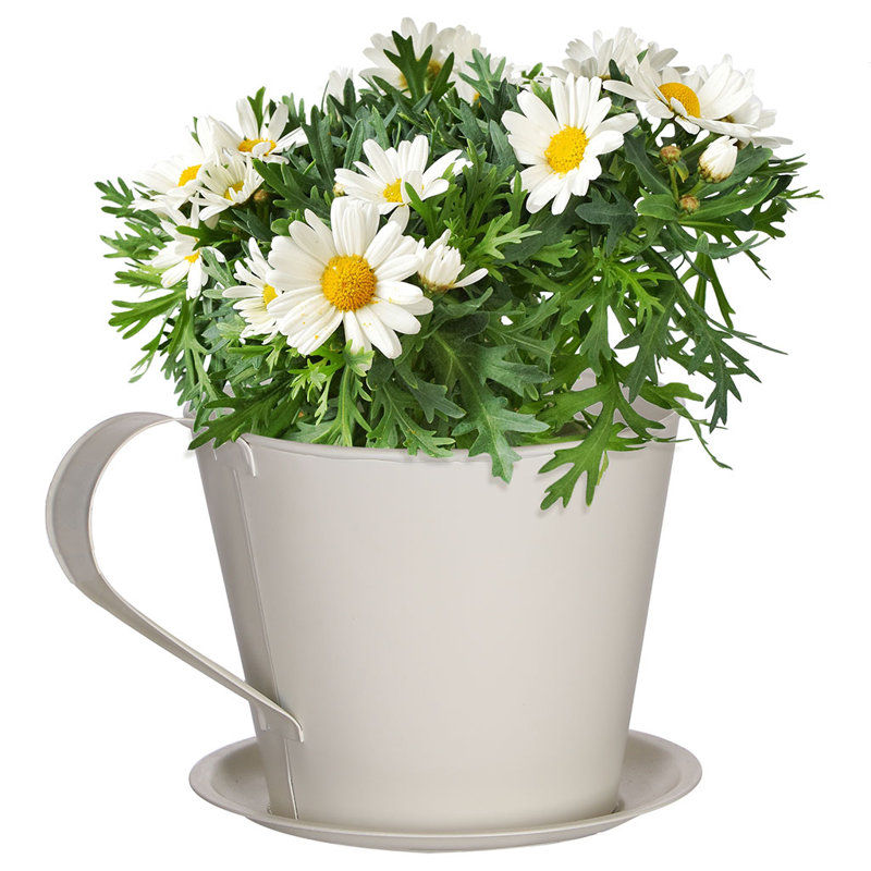 Soriano Metal Plant Pot, Cream