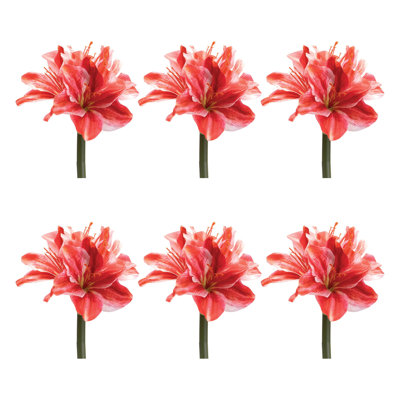 Tige de fleur Amaryllis (ensemble de 6)