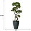 Panama 55'' Faux Bonsai Plant in Fiberstone Planter
