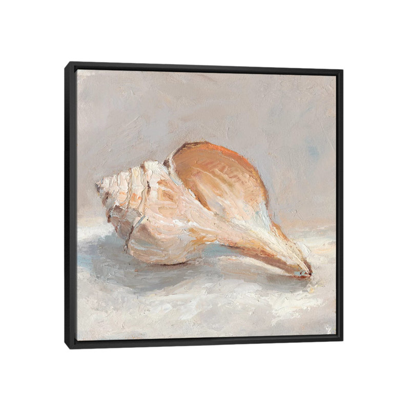 " Impressionist Shell Study III " by Ethan Harper, 18" H x 18" W x 1.5" D, No Mat, Black Framed
