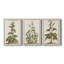 Munting Botanicals IV - Toile tendue avec châssis sur mesure - 3 pièces-1184477074