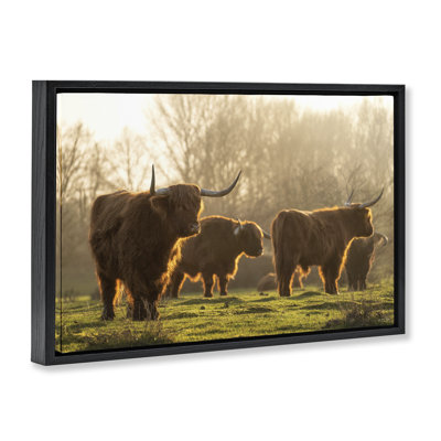 Longhorns in Foggy Pasture Gold Framed Floater Canvas by Martin Podt Photography