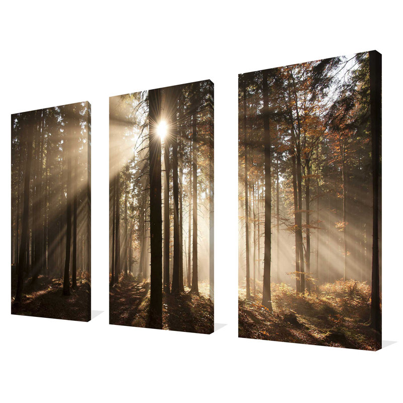 "Autumn Morning In Forest", ensemble de 3 impressions sur toile