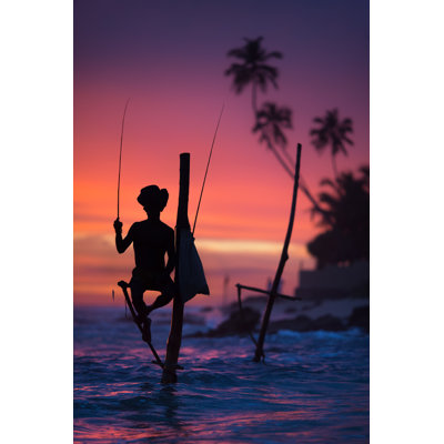 " Sri Lanka's Stilt Fisherman "