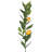 Lemon Arrangement