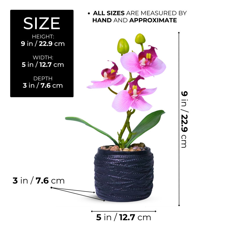 Petite plante artificielle orchidée rose d'intérieur, 9 pouces, 3 cm, Rose, Noir