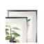 «Vintage Botanical Sketch X», ensemble de 2 reproductions de peintures à l'acrylique encadrées-28785954