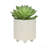 S/2 6/8" Textured Planters, Shiny White-1250852332