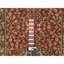 Tapis unique 2 pi 7 po x 22 pi Sarina