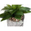 Plante artificielle