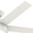 52" Anslee 5 - Blade Standard Ceiling Fan with Pull Chain and Light Kit Included-71202835