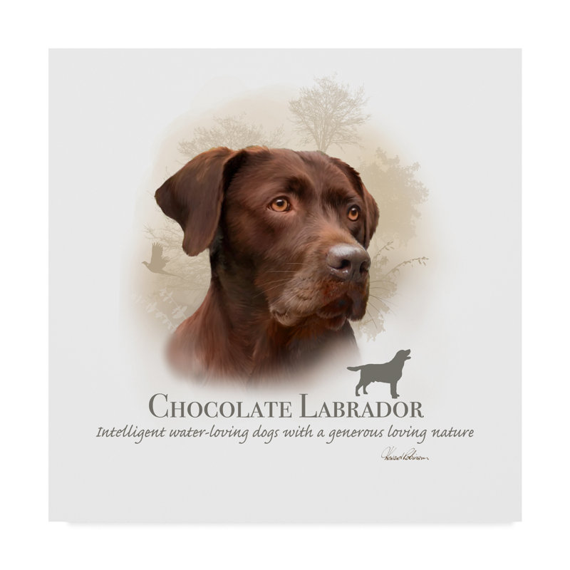Graphic Art Print, 35" H x 35" W x 2" D