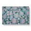 Succulent Plants - Wrapped Canvas Painting-55317972