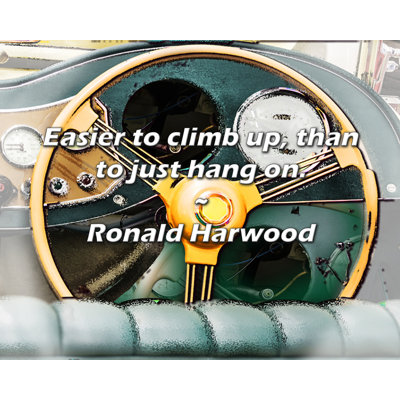 Artsy Quote "Easier to climb up, than to just hang on." By Ronald Harwood Gallery Wrapped Canvas