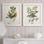 Oiseau antique, botanique et œuf sur toile encadrée, prêt à accrocher-885280168-885280169