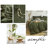 Washed Cotton Boho Soft Duvet Cover Set-227912518-227912513