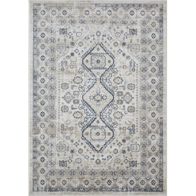 Aldolivio Oriental Indoor Rug
