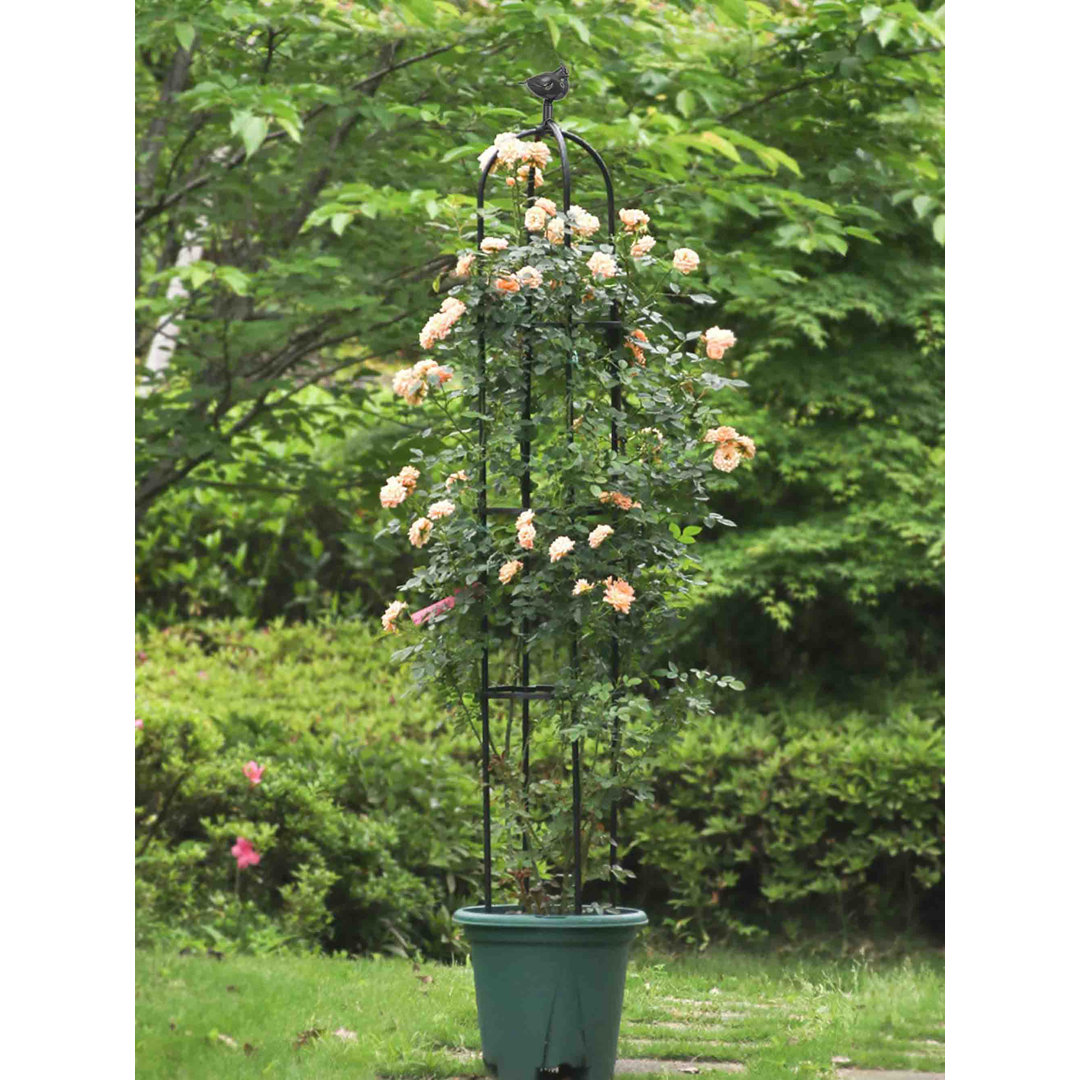 Danashia 180cm H x 30cm W Metal Obelisk Trellis