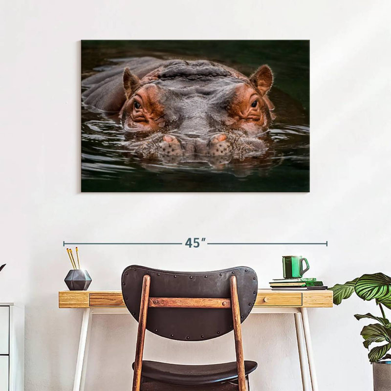Brampt Submerged Hippo, 26" H x 39" W