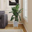 Handmade Mirrored Glass Planter Box-1788565468
