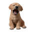 Animals Weather Resistant Polyresin Garden Statue