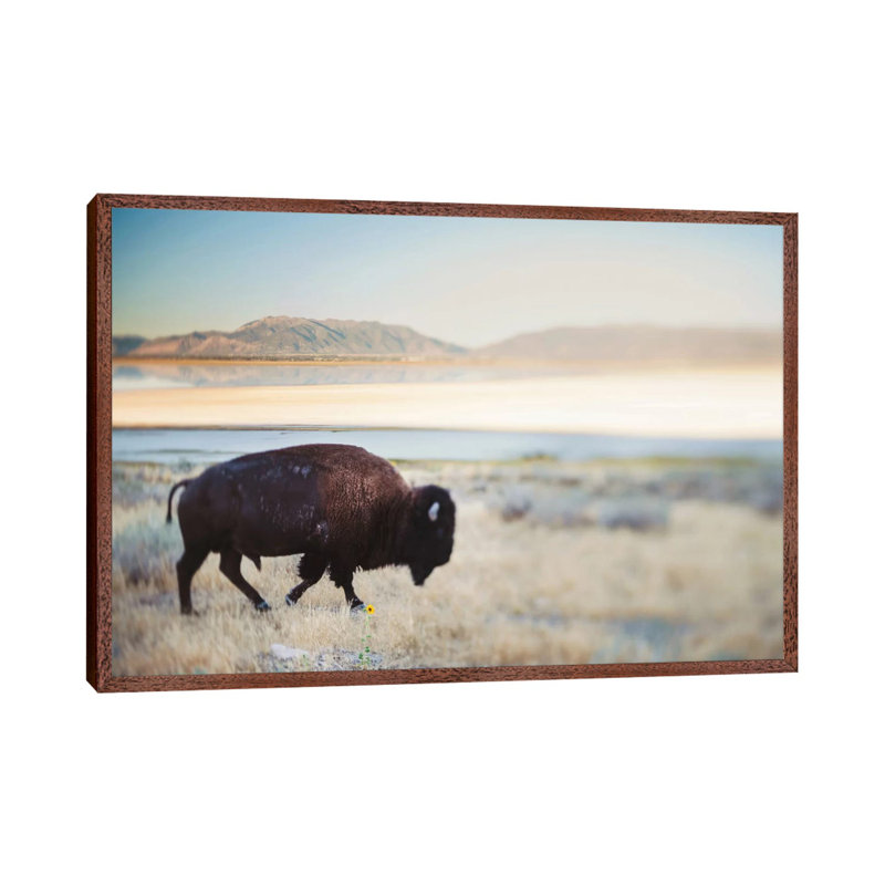 The Anonymous Buffalo by Chelsea Victoria - Print on Canvas, Brown Floater Framed, 66.04 cm H x 45.72 cm W