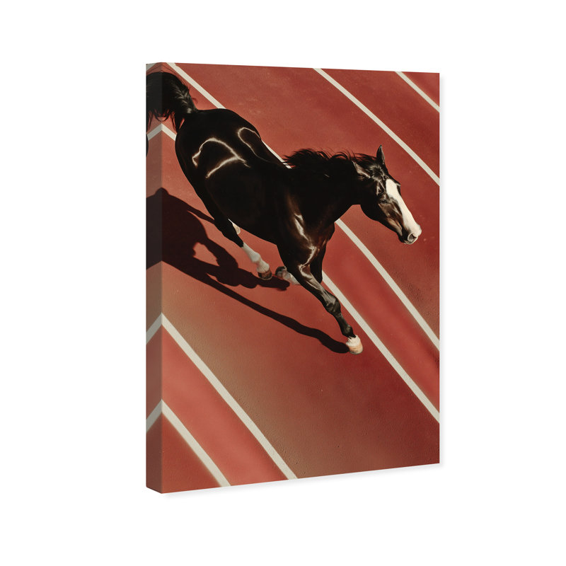 Velocity Vector Print by Oliver Gal, 10"H x 15"W, Gallery Wrapped