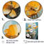 Buttercups Urban Florals sur toile-524994329-524994307