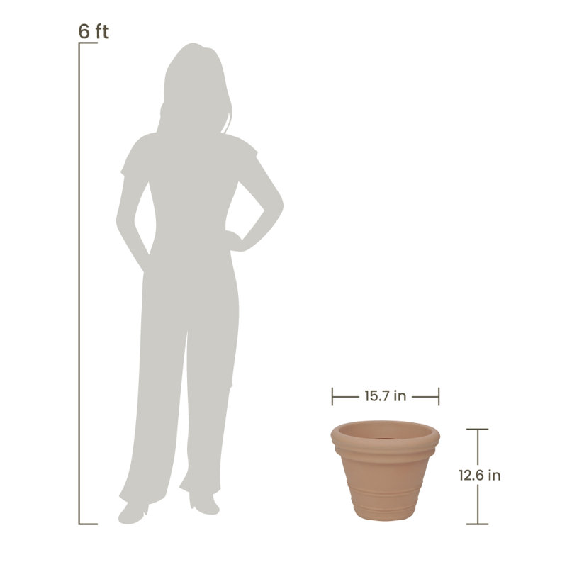Licinia Wall Planter, 12.6" H x 15.7" W x 15.75" D