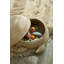 Sea Wonders Handmade Composite General Basket